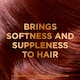 image 2 of Garnier Ultimate Blends Argan Richness Nourishing Shampoo 400ml
