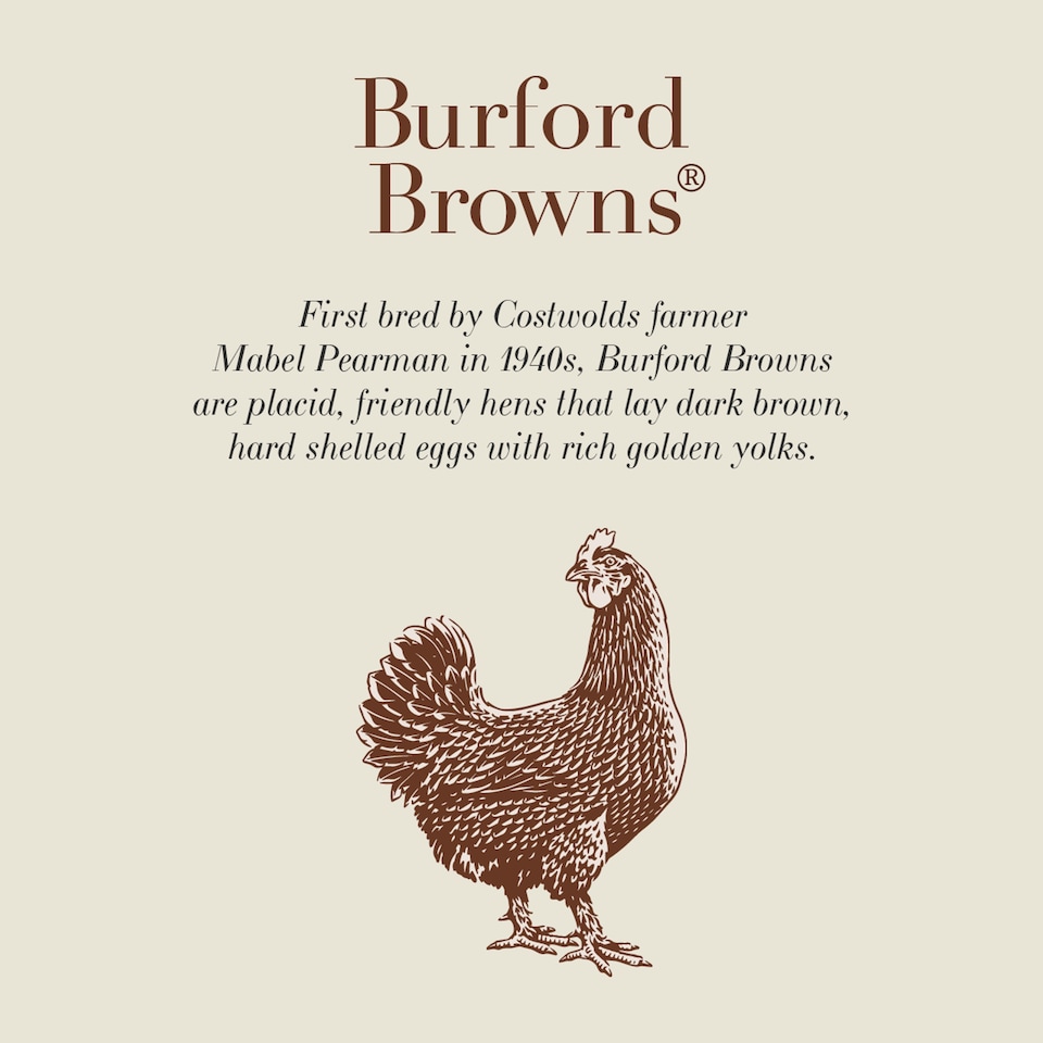 image 1 of Clarence Court Burford Brown 10 Large Free Range Eggs
