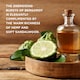 image 3 of Baylis & Harding The Fuzzy Duck Men's Refreshing Shower Kit Gift Set
