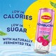 image 4 of Lipton Kombucha Raspberry 250ml Can