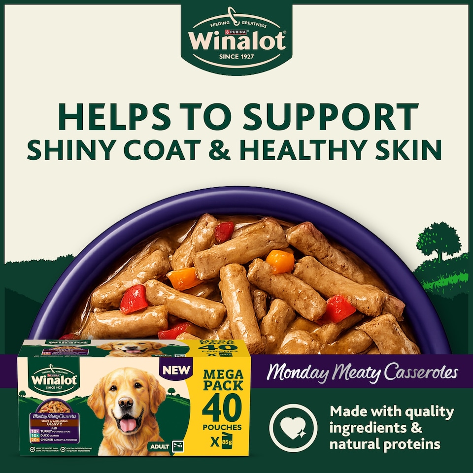 image 1 of WINALOT Monday Meaty Casseroles Chicken, Turkey, Duck in Gravy Wet Dog Food 40 x 85g