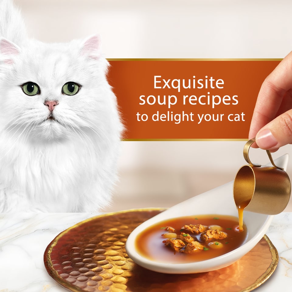 image 1 of GOURMET Soup Royale with Salmon, Cod & Plaice Wet Cat Food 6x45g