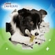 image 2 of DENTALIFE ActivFresh Large Dental Chicken Dog Chews 4 Sticks