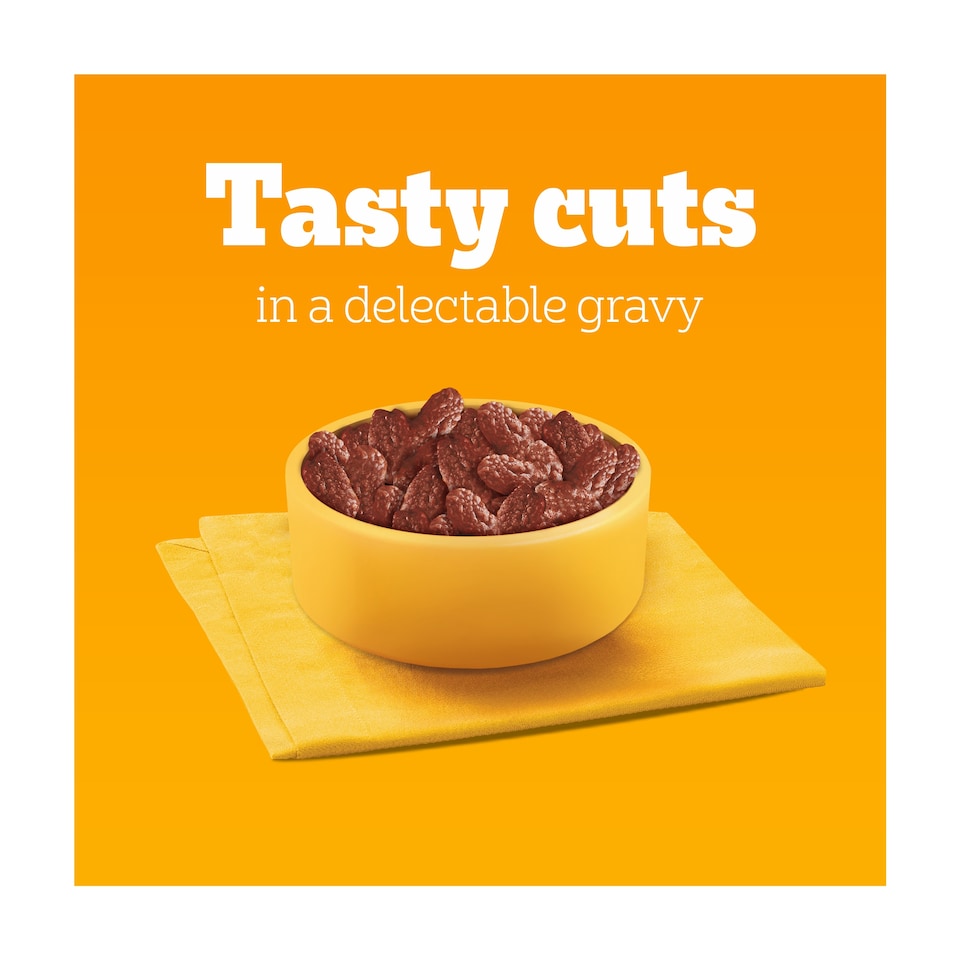 image 1 of Pedigree Adult Wet Dog Food Pouches Mixed in Gravy 40x100g