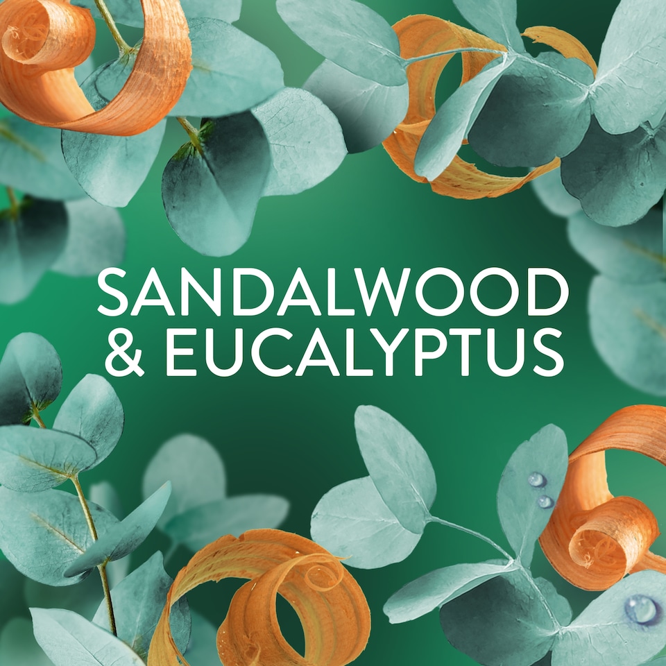 image 1 of Lenor In-Wash Scent Booster Sandalwood & Eucalyptus 155g