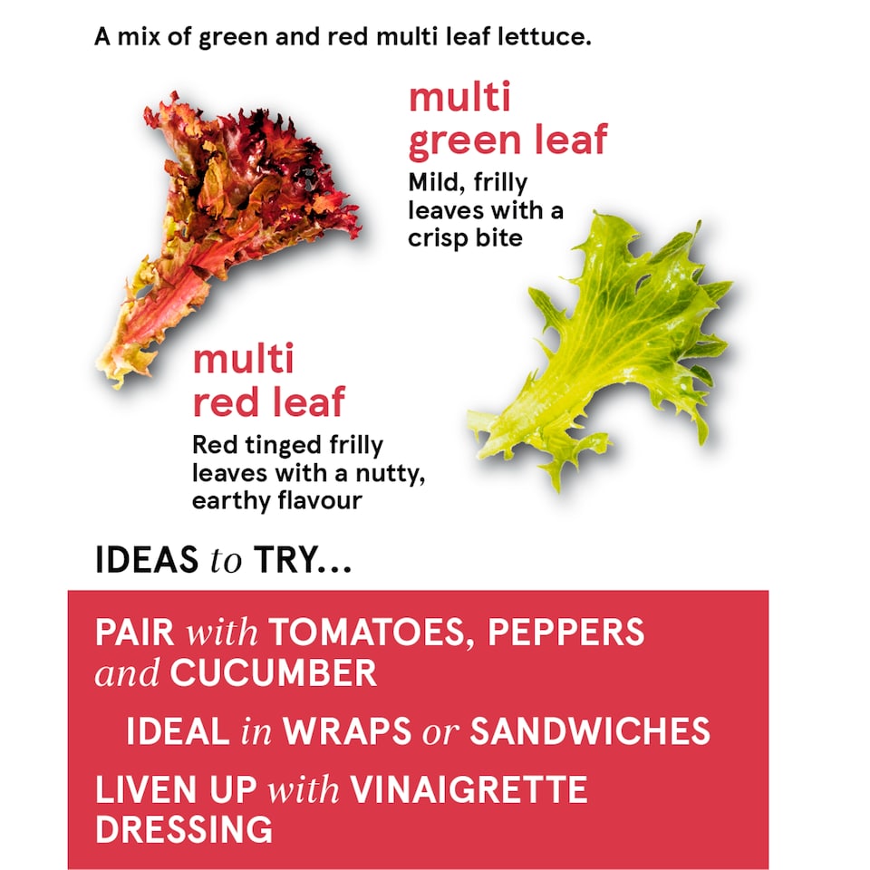image 1 of Tesco Mixed Leaf Salad 120G