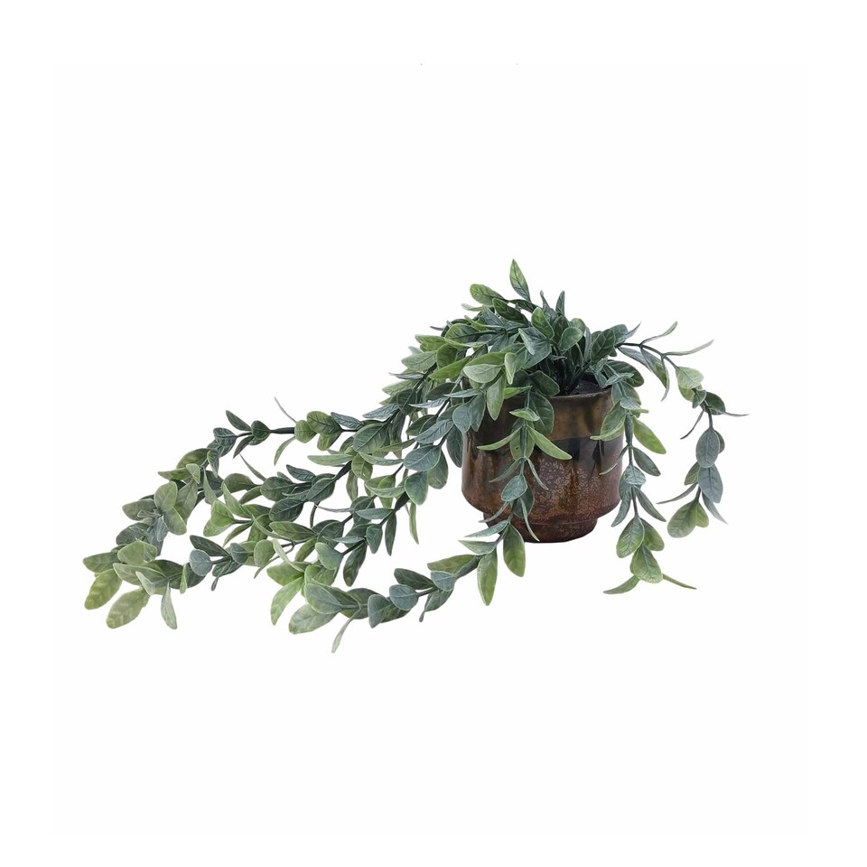Bayswood Artificial Trailing Plant in Amber Pot