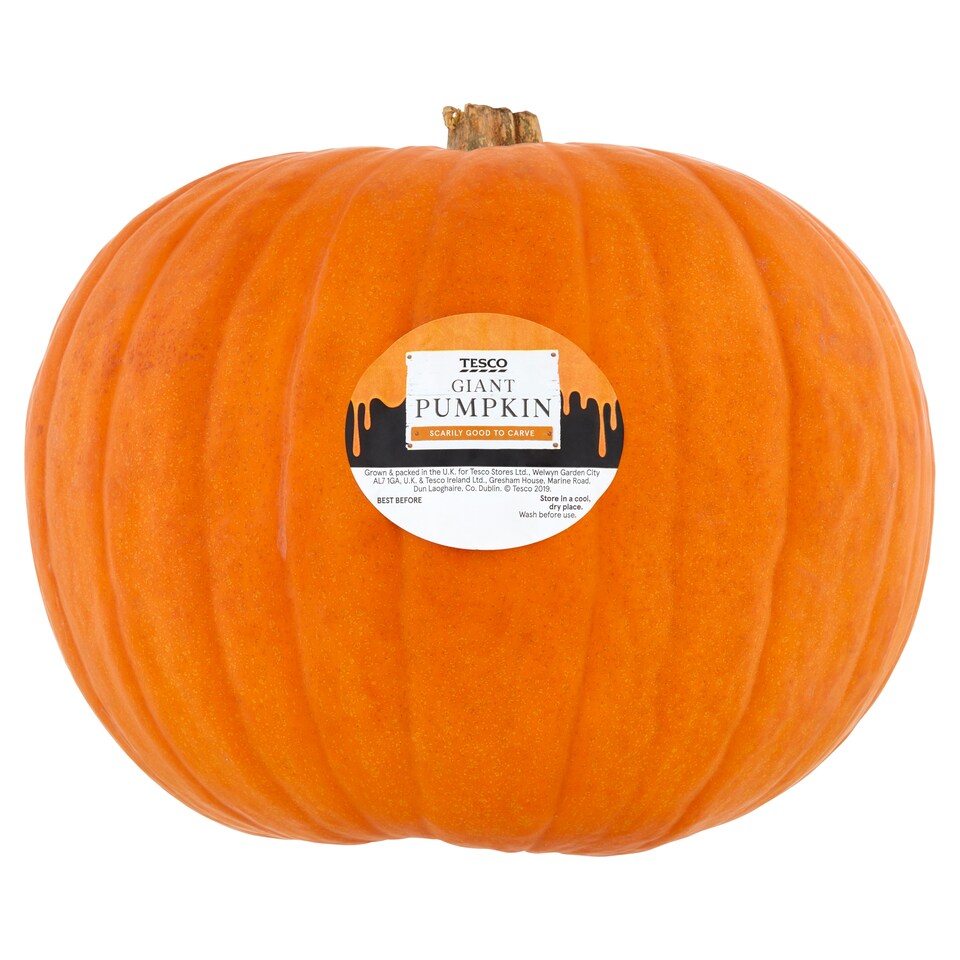 Tesco Giant Pumpkin Each