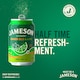 image 5 of Jameson Irish Whiskey Ginger Ale & Lime 330ml