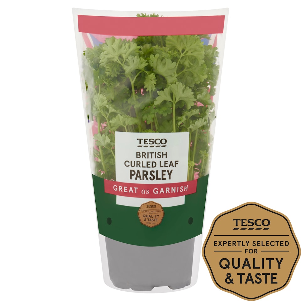 image 1 of Tesco Curled Parsley Medium Pot