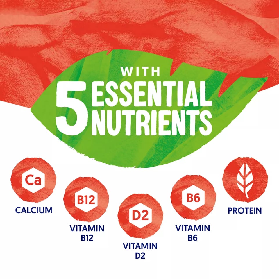 image 1 of Alpro Plain No Sugars Dairy Free Soya Yoghurt Alternative 500g