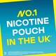 image 3 of Velo Ruby Berry Nicotine Pouches 20 Pack 10Mg 14G