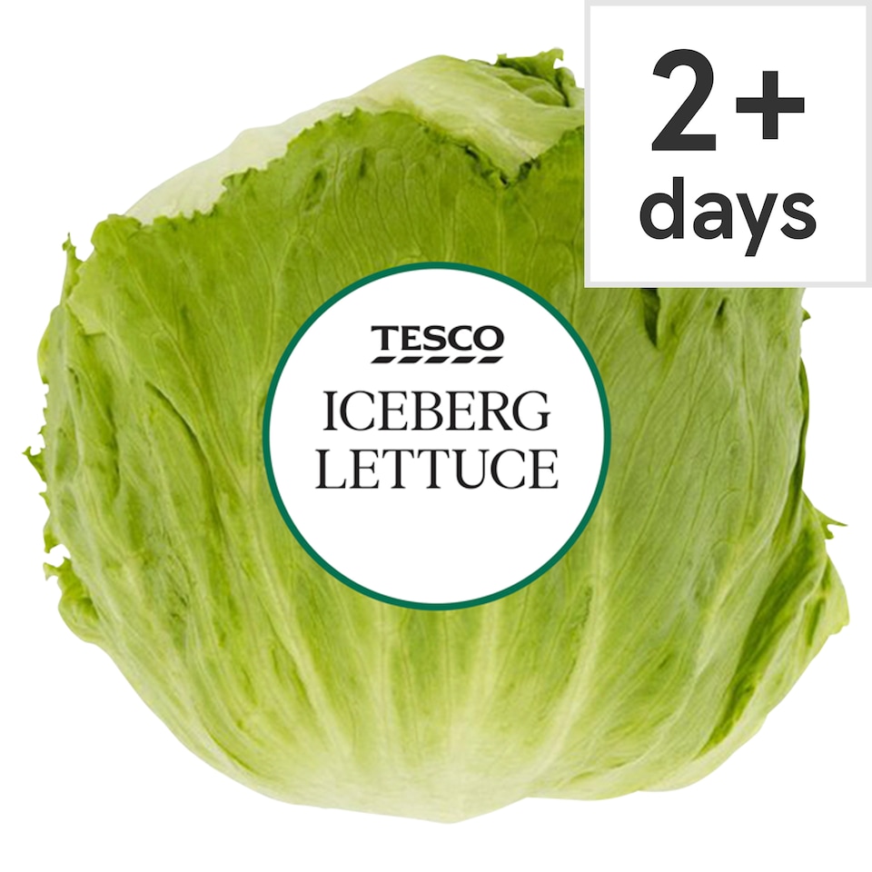 Tesco Iceberg Lettuce Each