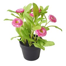 Artificial Pink Bellis Flower