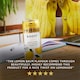 image 5 of Twinings Sparkling Tea Boost Zingy Lemon with Ginger 4x250ml