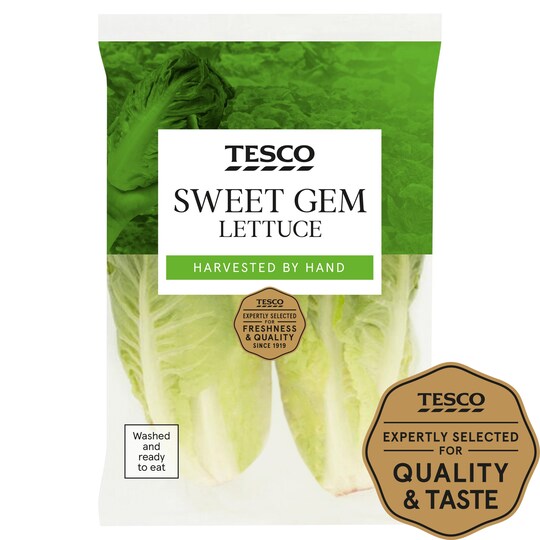 Tesco Sweet Gem Lettuce Tesco Groceries