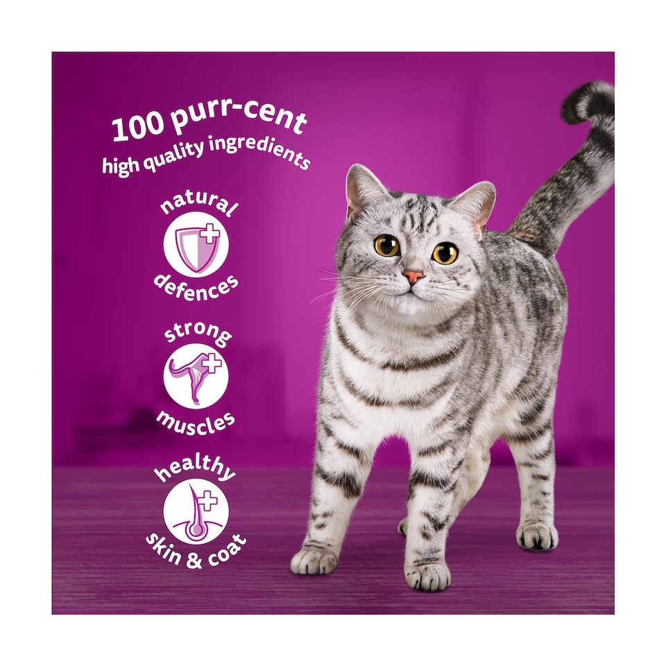image 1 of Whiskas Adult Cat Food Pouches Fish Favourites in Jelly 40x85g