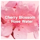 image 5 of Lenor Fabric Conditioner Cherry Blossom & Rosewater 42 Washes 1.386Ltr