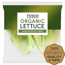 Tesco Organic Lettuce