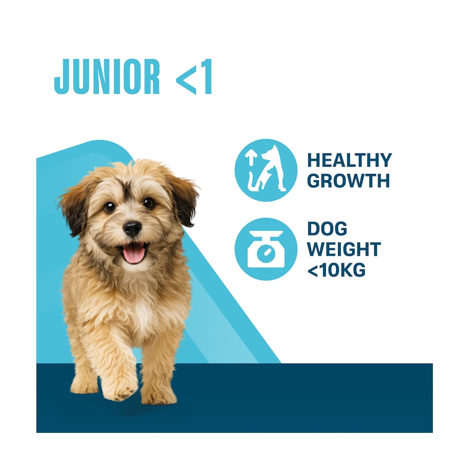 image 1 of Perfect Fit Chicken Puppy Junior Dry Food 825G for dogs less than 1 year
