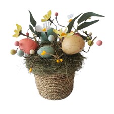 Bayswood Easter Plant