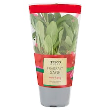 Tesco British Sage