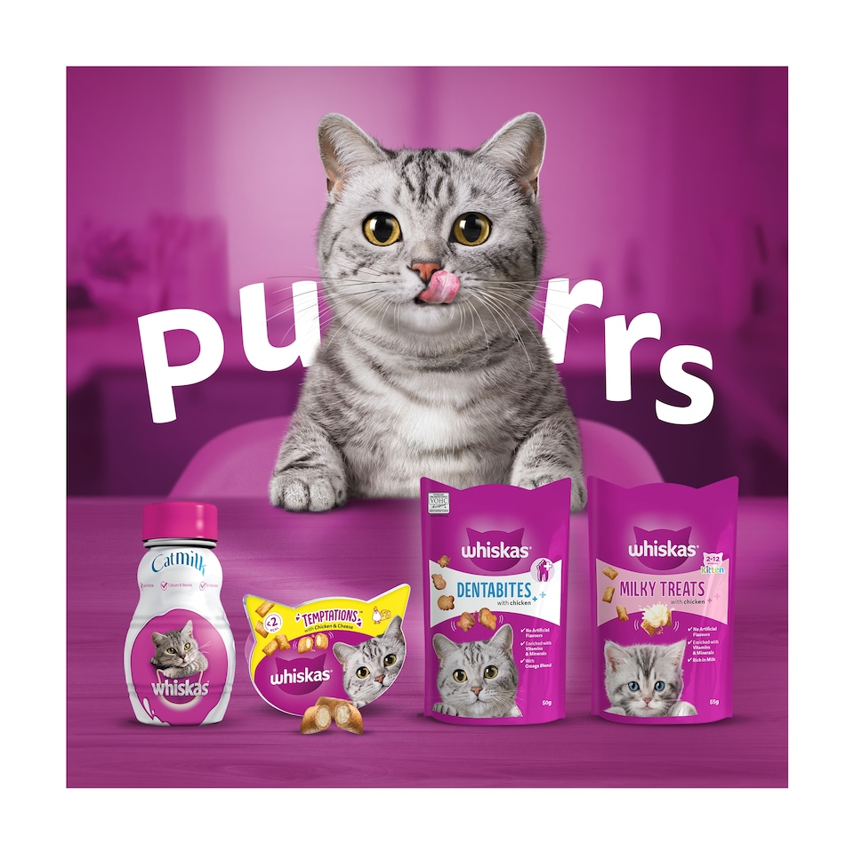 image 1 of Whiskas Temptations Cat Treat Biscuits Chicken & Cheese 60g