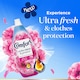 image 4 of Comfort Ultra Fresh & Protect Sakura Dreams Fabric Conditioner 78 Washes 1170ML