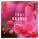 image 3 of Febreze Air Freshener Thai Orchid Aerosol 20Ml