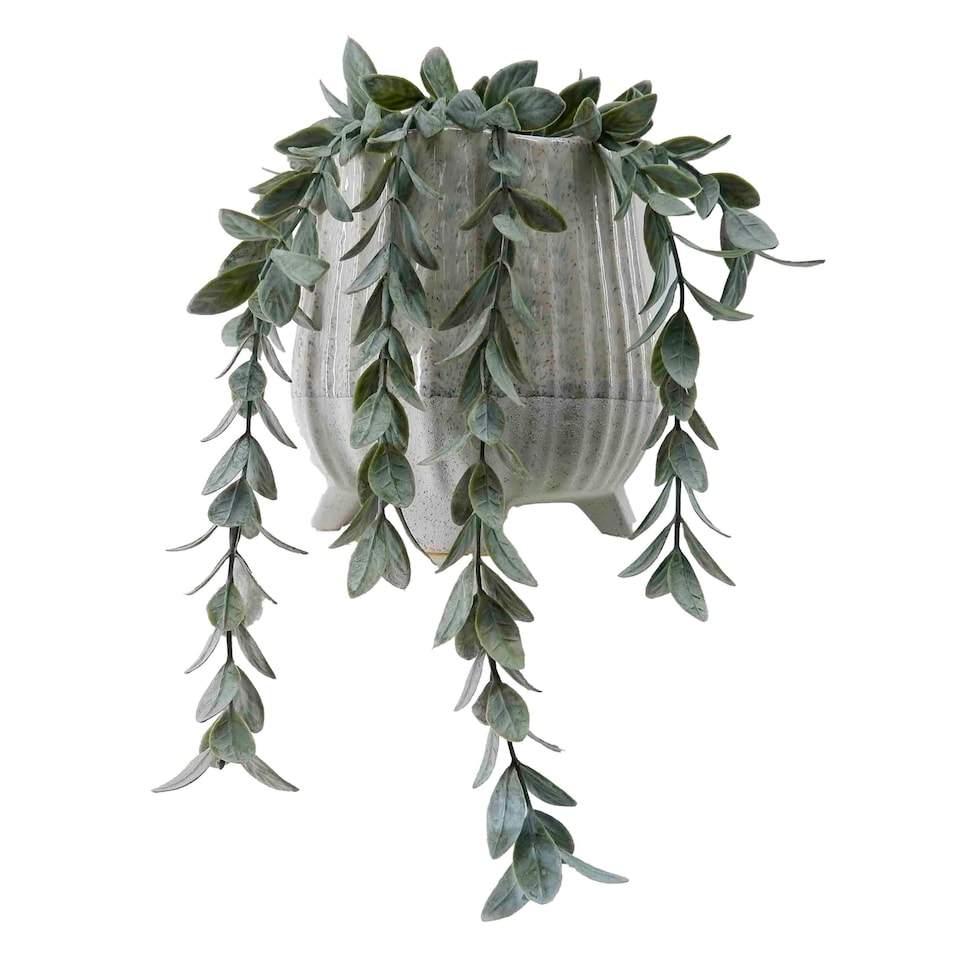 Bayswood Artificial Trailing In Ceramic Footed Pot