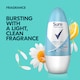 image 3 of Sure Cotton Dry Roll-On Antiperspirant Deodorant 50ml
