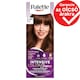 Palette Intensive Color Creme hajfesték 5-68 (R4) Gesztenye  1. kép