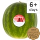 image 1 of Tesco Mini Watermelon