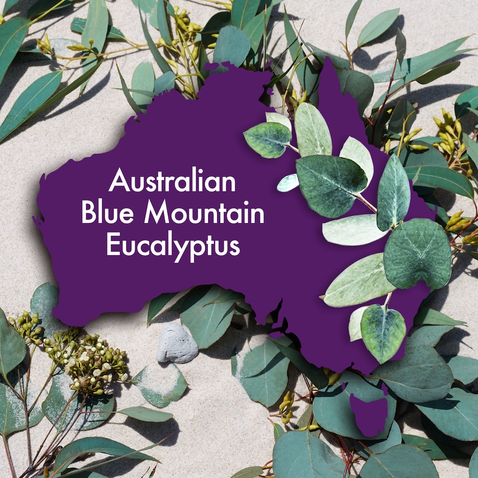 image 1 of Aussie 3 Minute Reconstructer Conditioner 250Ml