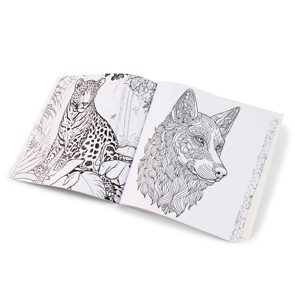 image 1 of Artistry Animal Colouring Book