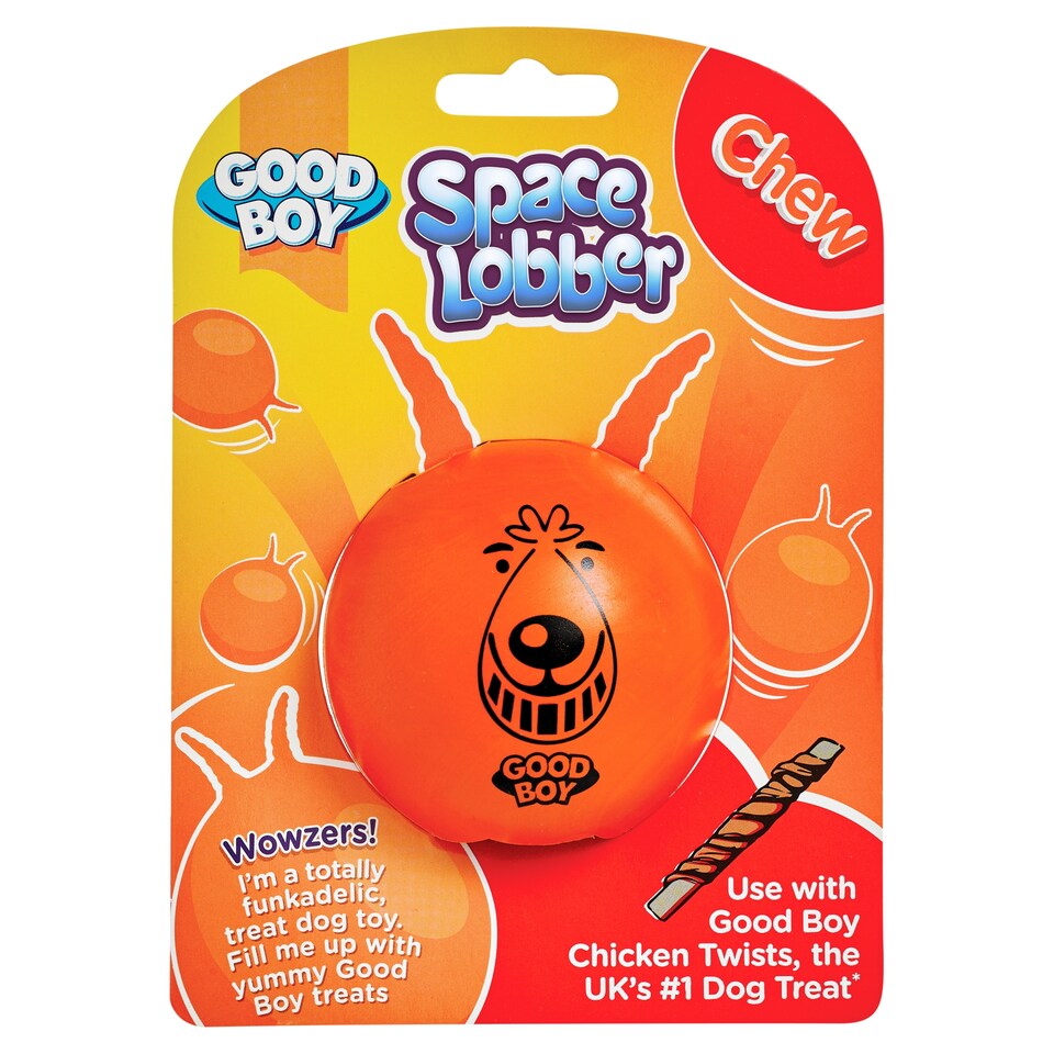 Good Boy Space Lobber Chewy Dog Toy