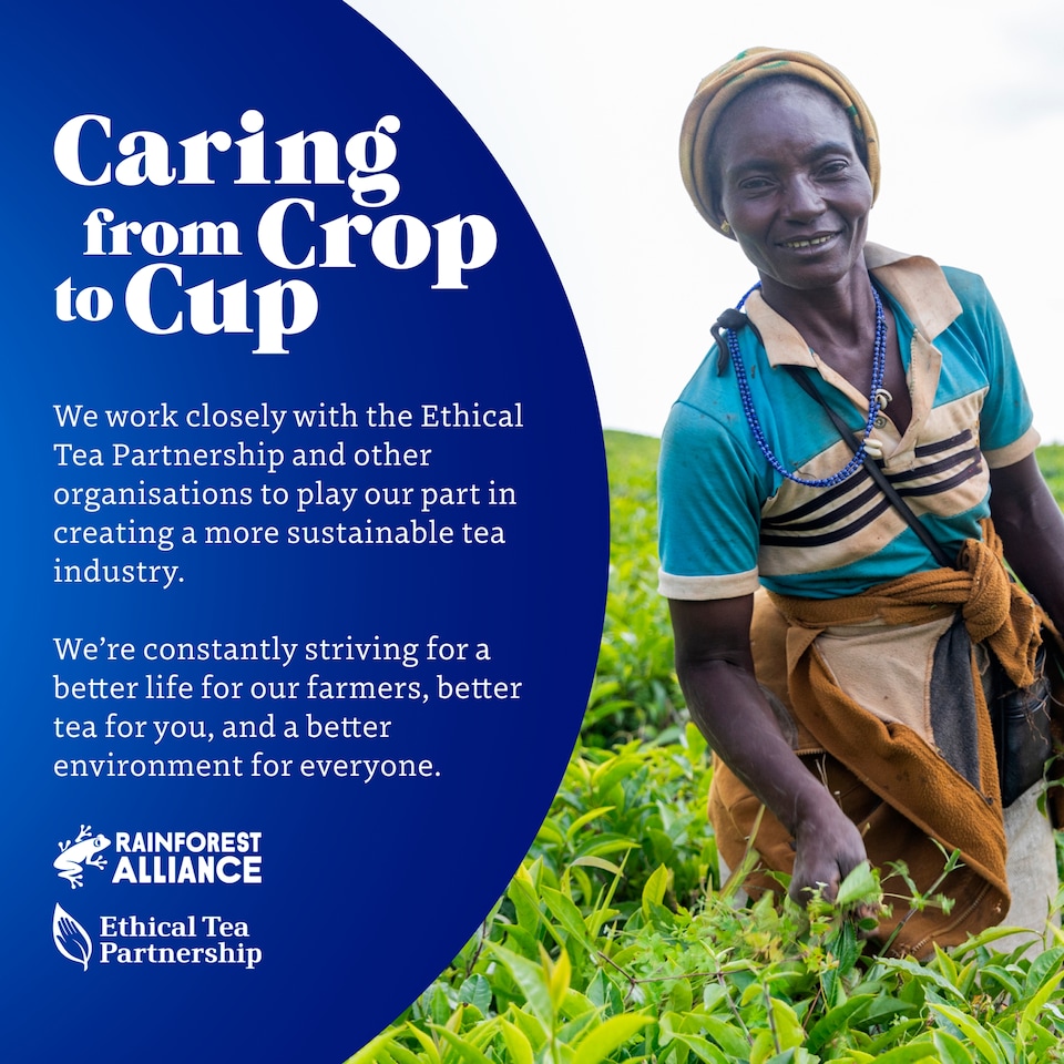 image 1 of Tetley 80 Tea Bags 250G