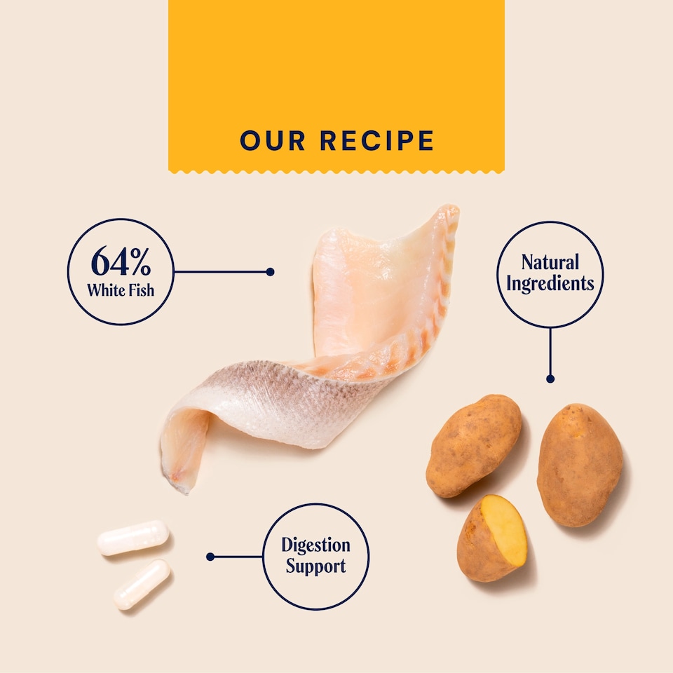 image 1 of Pooch & Mutt Complete Wet Dog Food, Fish Potato & Pea 375g