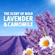 image 2 of Bold Lavender & Camomile Laundry Detergent Liquid Pods Original 43Washes 842.8G