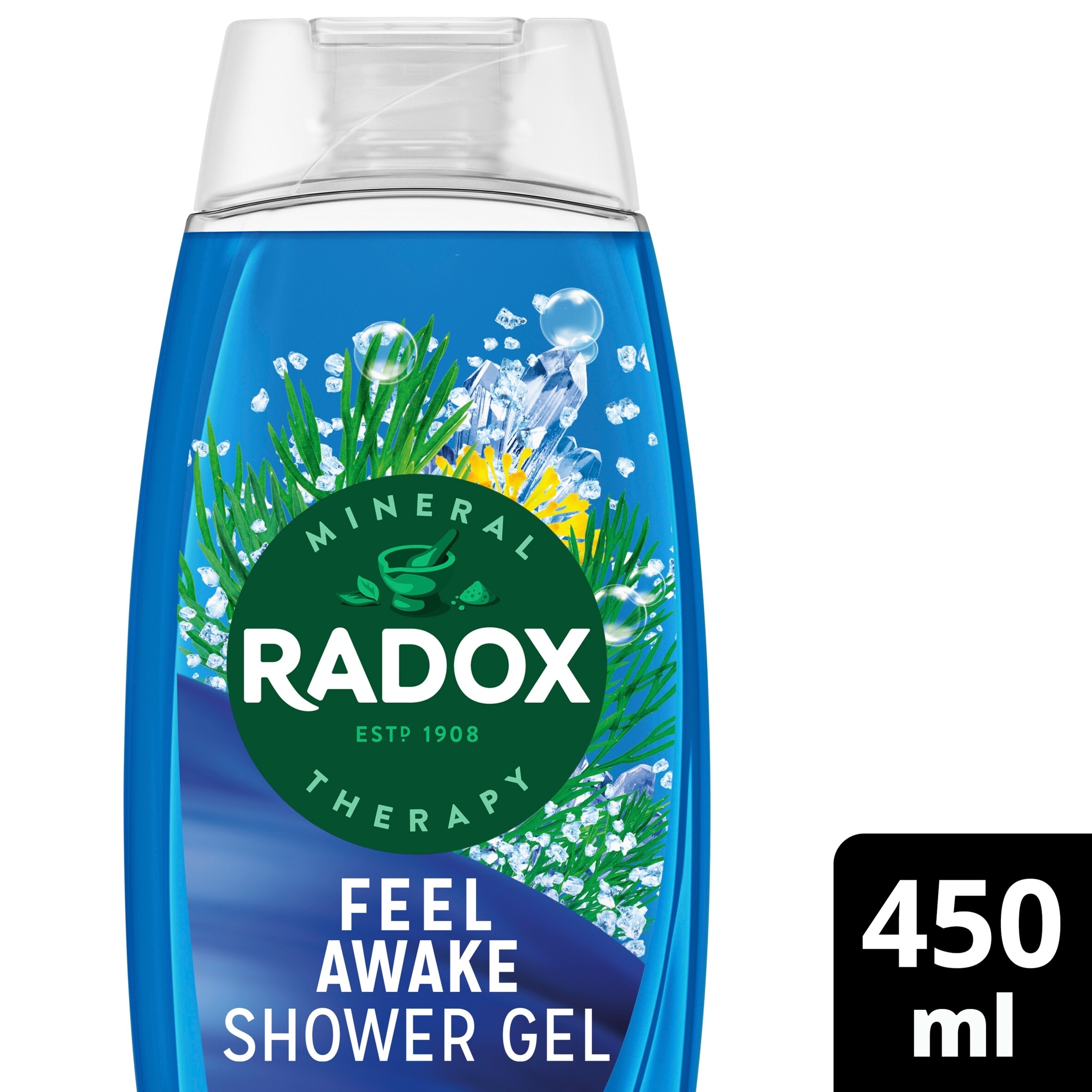 Radox Sea Minerals Feel Awake 2-in-1 Shower Gel Body Wash Shampoo 450ml