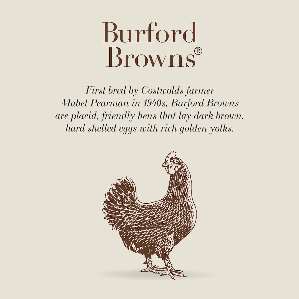image 1 of Clarence Court Burford Brown 10 Medium Free Range Eggs