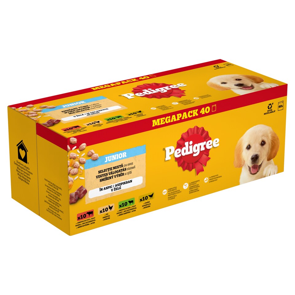 Pedigree Junior Vegyes Válogatás teljes értékű nedves eledel kölyökkutyák számára 10 x 100 g (4 kg)  1. kép