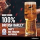 image 4 of Carling Original Lager Beer Can 4 x 440ml 