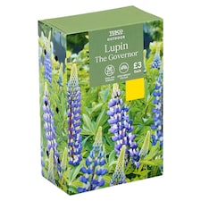 Tesco Lupin The Governor