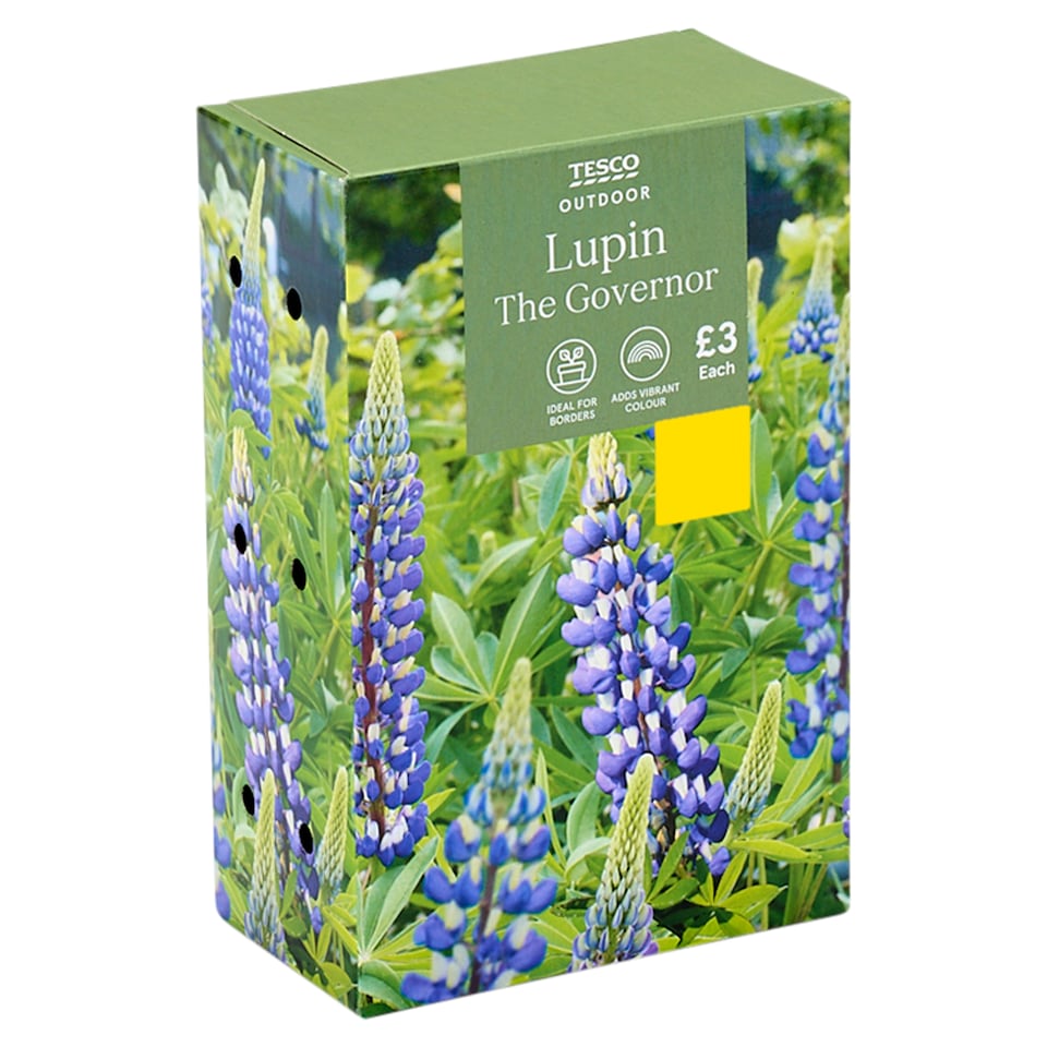 Tesco Lupin The Governor