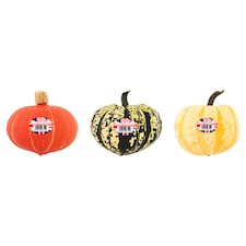 Tesco Autumnal Squash