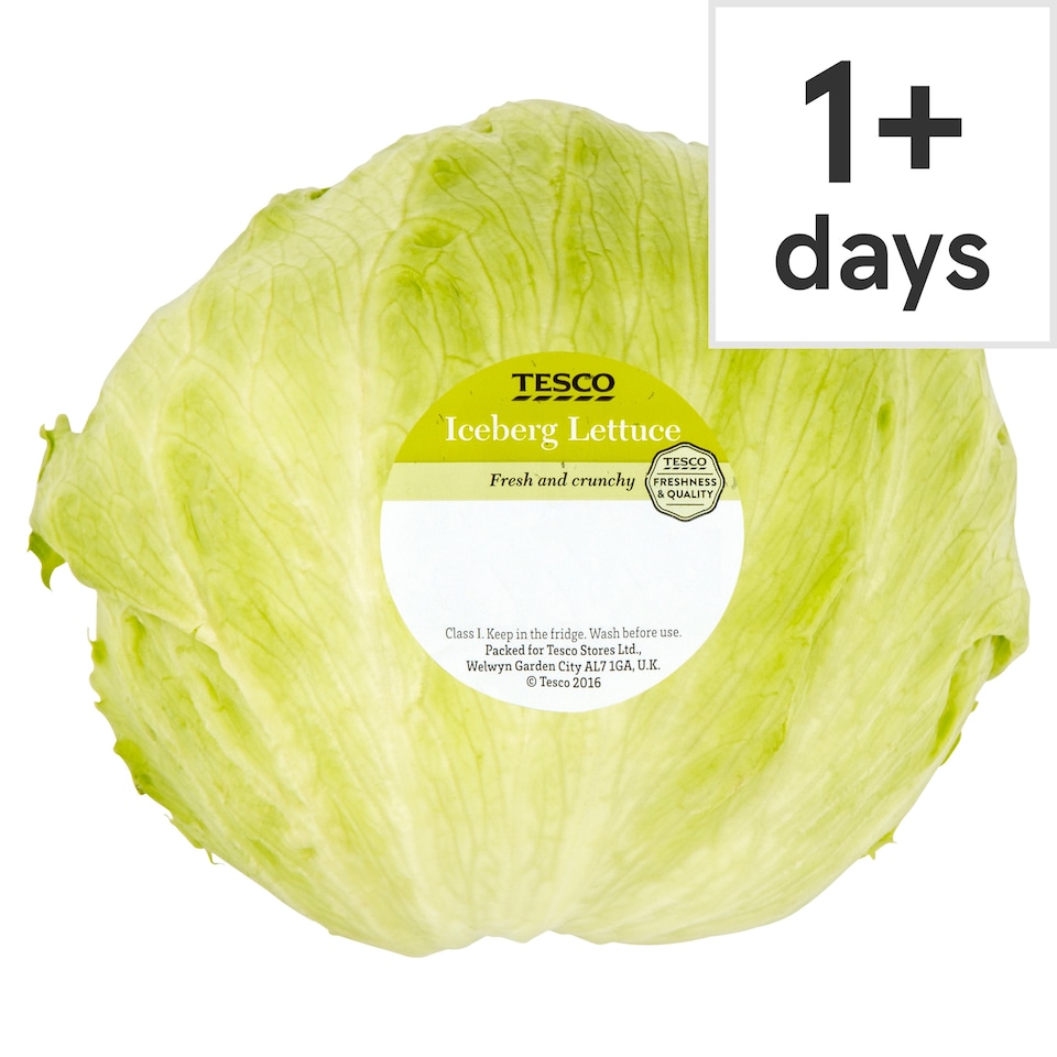 Tesco Iceberg Lettuce Each (C)