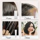 image 5 of CLAIROL COLOUR STRONG PERMANENT HAIR DYE - 6.0 LIGHT BROWN
