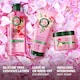 image 4 of Herbal Essences Petal Soft Rose Hair Mask 300ml