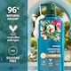 image 5 of Herbal Essences XL Repair Moroccan Argan Oil Shampoo 650ML